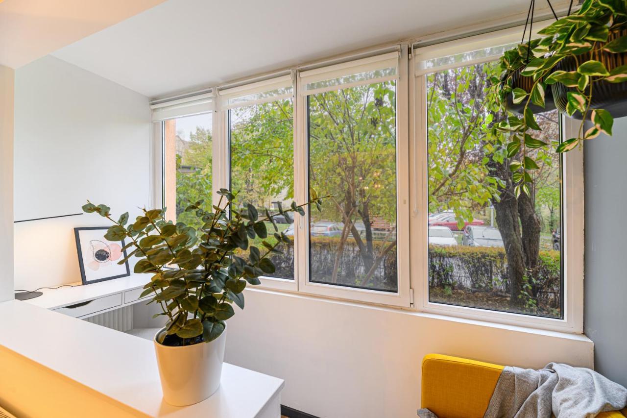 Travelers Hideout - Central Apartment Brašov Exteriér fotografie